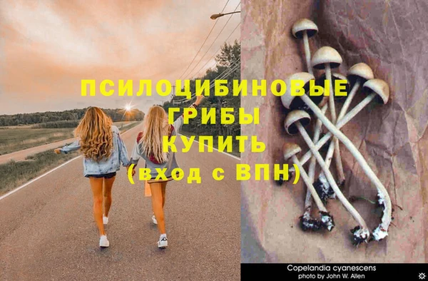 твердый Сосновка
