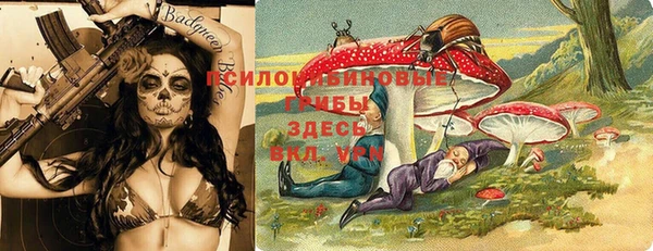 твердый Сосновка