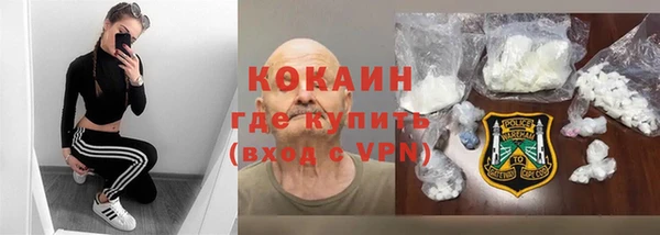 молекула духа Богородицк